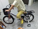 永久（FOREVER）兒童自行車(chē)寶寶腳踏車(chē)兒童折疊自行車(chē)3-8歲童車(chē)16寸一體輪 曬單實(shí)拍圖