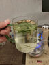 信盛堂龍井新茶2025西湖牌杭州茶廠特級(jí)龍井綠茶葉豆香濃郁明前特級(jí)禮盒 【袋裝125克】龍井【無(wú)科技】 【偏小貴】1件 曬單實(shí)拍圖