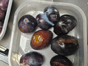 庾豐當季新鮮現(xiàn)摘西梅 新鮮水果整箱 孕婦藍蜜法蘭西梅 團購送禮 5斤裝（凈果4.5斤）甄選果王 顆顆甄選 產(chǎn)地直發(fā) 曬單實拍圖