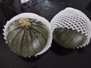 新鮮嫩南瓜高原夏菜旱地種植圓綠皮嫩南瓜當季蔬菜 嫩南瓜 3斤 曬單實(shí)拍圖