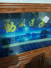 歐寶客廳魚(yú)缸水族箱 大型金龍魚(yú)缸玻璃家用新中式隔斷屏風(fēng)落地金魚(yú)缸 底過(guò)濾（加寬） 1.5米長(cháng) 曬單實(shí)拍圖