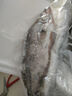 微山湖野生桂魚(yú)鮮活生態(tài)鱖魚(yú)現殺凈膛桂花魚(yú)漁民捕撈 1.5斤/條(宰殺后15%左右損耗) 曬單實(shí)拍圖