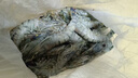 北海灣 高品質(zhì)活凍黑虎蝦 超大蝦類(lèi)大蝦生鮮老虎蝦冰鮮印度海蝦盒裝送禮 19-21cm【高品質(zhì)】 1000g(凈重) 曬單實(shí)拍圖