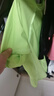 迪桑特 WOMEN’S TRAINING  女士 透氣 短袖針織衫 LM-LIME M (165/84A) 曬單實(shí)拍圖