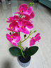 百動(dòng)蝴蝶蘭仿真植物花卉盆栽辦公室桌面綠植塑料花紫紅色九頭加大32cm 曬單實(shí)拍圖