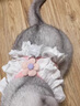 阿莫爾貓咪牽引繩可調節帶小花jk裙寵物衣服胸背帶外出專(zhuān)用防掙脫遛狗繩 粉色小花 L-胸圍45長(cháng)22約8-10斤 曬單實(shí)拍圖