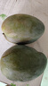 京鮮生 攀枝花凱特芒果 凈重4.5斤 單果300g+ 生鮮水果源頭直發(fā) 曬單實(shí)拍圖