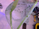 山茶花免撕垃圾袋家用加厚手提式抽繩味自動收口塑料袋家用45*45 山茶花小熊-300只 曬單實拍圖