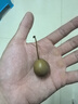 家美舒達 山東 貝貝南瓜 板栗小南瓜 5斤（品種：明博） 蔬菜禮盒 曬單實(shí)拍圖