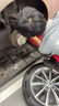 布雷博（Brembo）剎車(chē)片后片奧迪A4A6標致208307高爾夫POLO帕薩特寶來(lái)朗逸朗行明銳 曬單實(shí)拍圖