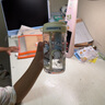 言倉線(xiàn)條小狗隨行杯茶水分離實(shí)用雙飲便攜兒童送女生生日禮物塑料杯 700mL小白款 曬單實(shí)拍圖