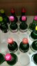 真露（JINRO）韓國燒酒 檸檬味 360ml*6瓶 進(jìn)口洋酒 利口酒 果味酒 中秋送禮 曬單實(shí)拍圖