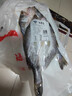 海鼎紀三去海鱸魚(yú)800g/2條裝 開(kāi)背鱸魚(yú)生鮮魚(yú)類(lèi) 海鮮水產(chǎn)夜宵食材中秋 曬單實(shí)拍圖