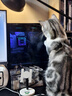 微星（MSI）?；赎猂S Ultra U7 265KF/RTX5070/32GDDR5/1T國家補貼三角洲水冷游戲設(shè)計師臺式電腦主機全套整機 曬單實拍圖