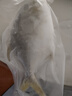 環(huán)球水產(chǎn) 南海金鯧魚(yú)凈重2斤/2條 生鮮魚(yú)類(lèi) 深海魚(yú) 海鮮 中秋家庭聚餐 曬單實(shí)拍圖