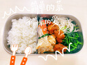榮事達（Royalstar）電熱飯盒加熱自熱熱飯神器辦公室輕音免注水蒸可插電保溫密封不銹鋼內(nèi)膽RFH04D特制 曬單實拍圖