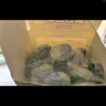 巨奇嚴選 青檸雙色潔廁寶50g*20廁所馬桶藍泡泡清潔塊自動(dòng)清潔除味劑 曬單實(shí)拍圖