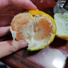 京鮮生 云南蜜桔 凈重5斤 單果60mm+ 生鮮水果 源頭直發(fā)包郵 曬單實(shí)拍圖