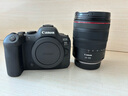 佳能（Canon）EOS R6 Mark II R6二代 新標準全畫(huà)幅微單相機R62 L級24-105標準鏡頭套裝 曬單實(shí)拍圖
