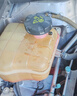 道達爾（Total）有機型(OAT)發(fā)動(dòng)機冷卻液通用型汽車(chē)防凍液冰點(diǎn)-35℃ 4kg（紅色） 曬單實(shí)拍圖