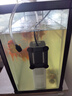 森森魚(yú)缸過(guò)濾器三合一內置小型水族箱過(guò)濾系統增氧泵XQP-1000F 15W 曬單實(shí)拍圖
