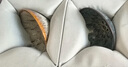 唐豐李桂蓮敦煌文創(chuàng)建盞主人杯個人專用茶杯茶具禮盒節(jié)日伴手禮 曬單實(shí)拍圖
