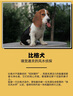 無(wú)印良品（MUJI）女式?jīng)龈蟹雷贤饩€蝙蝠袖T恤 短袖上衣打底衫女款涼感物語(yǔ)硬核防曬 白色 M (160/84A) 曬單實(shí)拍圖