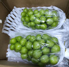 玖原農珍 甘肅天水花牛蘋(píng)果源頭直發(fā)采摘新鮮禮品水果含箱 5斤凈果4.5斤優(yōu)選果70-80mm 曬單實(shí)拍圖
