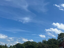 中國移動流量卡不限速純上網(wǎng)通用電話卡手機(jī)卡5G卡大流量無限速流量卡移動流量卡 店鋪周年慶-咨詢客服免費領(lǐng)取可發(fā)全國大流量卡 曬單實拍圖