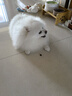 愛肯拿（ACANA）狗糧 鴨肉梨成犬幼犬 低敏去淚痕 全價通用原裝進口糧2kg效期26/5 曬單實拍圖