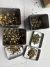 產(chǎn)地直發(fā)：2025新品茉莉花茶組合，花香濃郁，喜歡的不要錯過(guò)！ 茉莉花組合4罐+2袋300G贈主人杯 曬單實(shí)拍圖