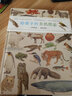 內(nèi)心強(qiáng)大的我：萌雞小隊(duì)兒童自信培養(yǎng)漫畫(huà)故事·小松鼠找橡實(shí) 曬單實(shí)拍圖
