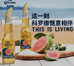 科羅娜（CORONA）海鹽番石榴果啤啤酒207ml*24瓶整箱裝【新品】 中秋送禮  曬單實(shí)拍圖
