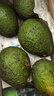 進(jìn)口哈斯牛油果4個(gè)裝大果單果190g起新鮮水果包郵 單果190克以上   6個(gè)裝 曬單實(shí)拍圖