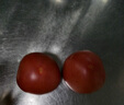 京鮮生沙瓤粉西紅柿 凈重3斤 單果100g+果菜兩吃 源頭直發(fā) 【搜生鮮館】 曬單實(shí)拍圖