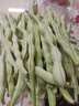 京鮮生山東新鮮白蕓豆凈重5斤裝白不老新鮮蔬菜源頭直發(fā)包郵 曬單實(shí)拍圖