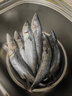 青島大鲅魚(yú)新鮮冷凍無(wú)冰馬鮫魚(yú)燕鲅魚(yú)海鮮水產(chǎn)海魚(yú)生鮮5斤順豐 5斤【5-6條】8兩-1斤/條 曬單實(shí)拍圖
