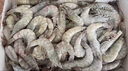 萬(wàn)景 北海鮮凍白蝦 國產(chǎn)白蝦 單凍無(wú)冰凈重4斤 100-120只 燒烤聚餐  曬單實(shí)拍圖