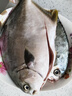 翔泰 海南金鯧魚凈重900g 2條裝  魚類生鮮 燒烤 火鍋食材 海鮮水產(chǎn) 曬單實(shí)拍圖