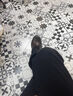 FOGVOID高端品牌商務(wù)正裝皮鞋男士真皮休閑男鞋大頭鞋厚底真牛皮通勤鞋子 棕色 38 (240mm) 曬單實(shí)拍圖