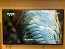 索尼（SONY）K-55S30 X80L升級(jí)款 索尼電視3系 55英寸 2025新品 4K HDR 全面屏電視 曬單實(shí)拍圖