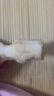 愛(ài)鮮摘農(nóng)場(chǎng) 山東萊陽(yáng)秋月梨【閃送-多地隔日達(dá)】豐水梨子水果禮盒中秋送禮 7A級(jí)｜單果300g+【狠甜】 精選果丨5斤裝【超值推薦】?jī)?.5 曬單實(shí)拍圖