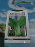 北蔬 小青菜種子苗上海青梗菜油菜種籽 速生605上海青種子50g約2萬(wàn)粒 曬單實(shí)拍圖