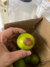正宗塔希提無(wú)籽青檸檬香水檸檬薄皮小青檸奶茶店飲品搭檔 2斤 曬單實(shí)拍圖