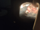蘇泊爾（SUPOR）空氣炸鍋5L大容量可視化不用翻面蒸汽嫩炸雙旋鈕控溫控時(shí)多功能無(wú)油煙智能電炸鍋大功率 KJ50D806 5L 曬單實(shí)拍圖