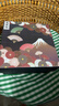 美濃燒（Mino Yaki）日本進口陶瓷餐盤家用深盤古染藍繪南國山水釉下彩5件套禮盒裝 曬單實拍圖