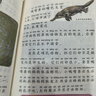 中國少兒百科全書(shū)全套8冊6-12歲兒童科普繪本注音版百科知識叢書(shū)小學(xué)生一二三四五年級課外閱讀書(shū)十萬(wàn)個(gè)為什么兒童科普讀物 【全8冊】中國少兒百科全書(shū) 曬單實(shí)拍圖