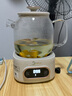 美的（Midea）全玻璃養(yǎng)生壺 辦公室燒水壺 家用多功能煮茶壺 花茶煮茶器 迷你小型電熱水壺 圍爐煮茶壺 【0膠水】YS10B101 1L 曬單實拍圖