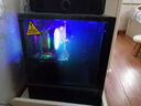 航向者/AOC 酷睿i5 12400F/RTX3060/50604060游戲電競設計臺式電腦主機DIY組裝電腦整機裝機全套吃雞辦公 主機 一：9400F丨16G丨256G丨4G游戲獨顯 曬單實(shí)拍圖