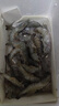 蝦有蝦途青島大蝦無(wú)冰新鮮海蝦白蝦鮮活冷凍大蝦批發(fā)3.6斤凈重 青島大蝦 3.6斤(凈重)  只只分離 18-20cm【超大蝦皇】無(wú)冰 曬單實(shí)拍圖